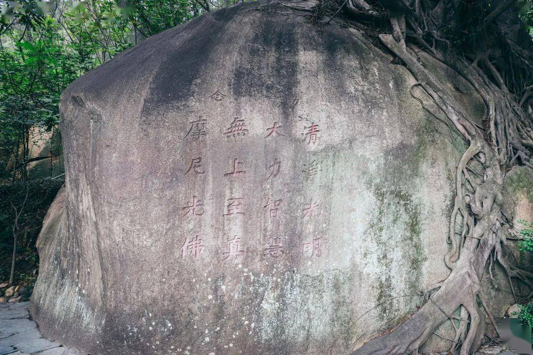 《桂枝香·草庵访古》庄灿煌