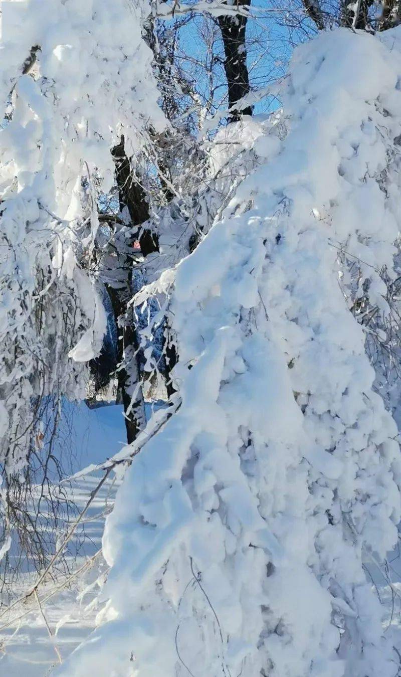 雪石看天下图片