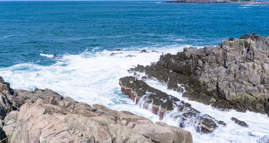 家电这盘棋从未像今年这么有趣-家电圈官网