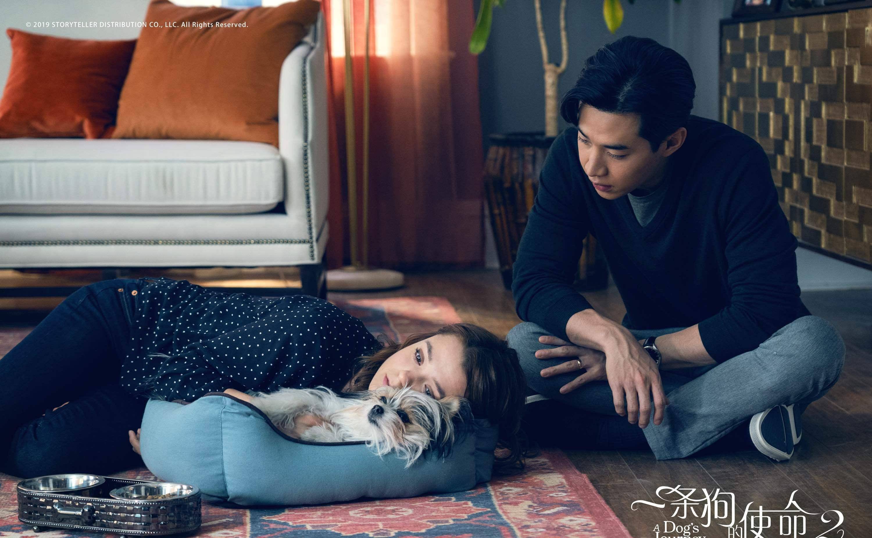 刘宪华出演《一条狗的使命2》,可爱逗趣萌犬,暖心流泪戳动人心_贝利