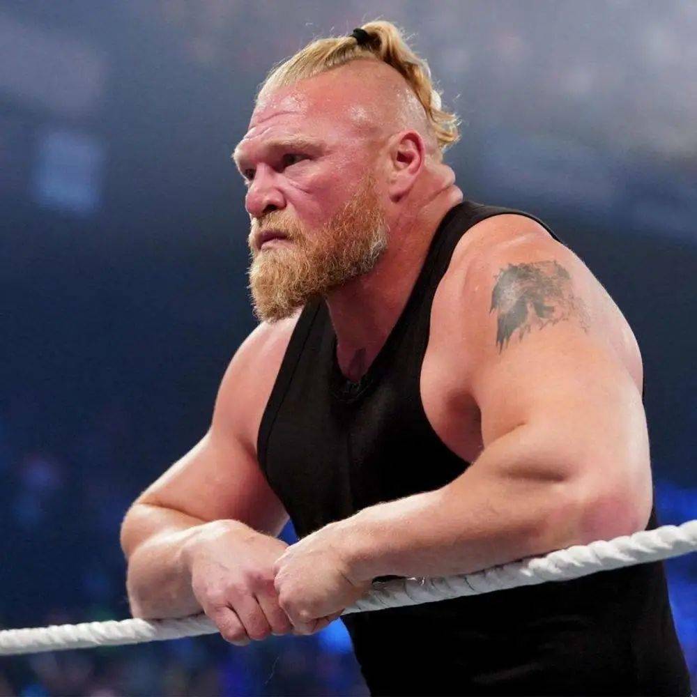 前wwe冠军布洛克莱斯纳如果说过去几个月的经历告诉了我们什么的话