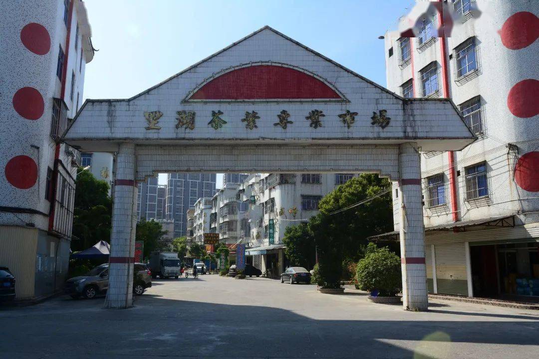 宝树嘉茶业欢迎您地址:广东省普宁市里湖镇里湖茶叶市场大门直入100米