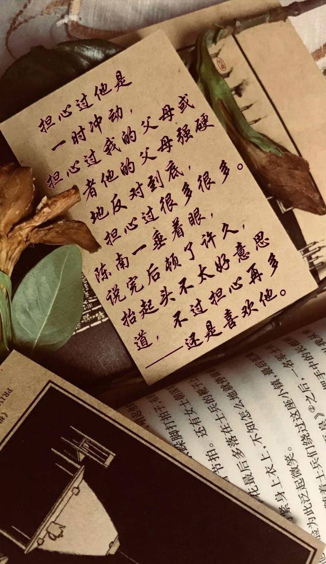 《柔软关系》:午后日光透过窗,落到他们肩上_南一_贺昀_父母