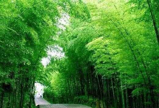 梦,会圆,唯美;能解,不累_卢生_吕翁_罗含