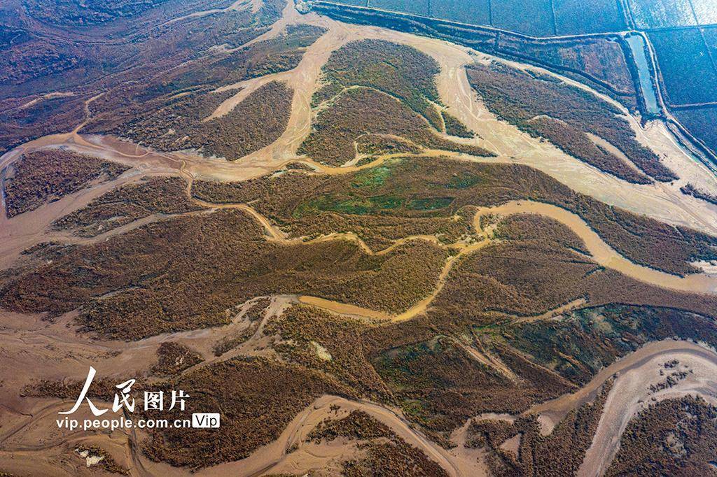 山西运城:黄河河道河汊纵横交错美如画_图片_万荣县_河床