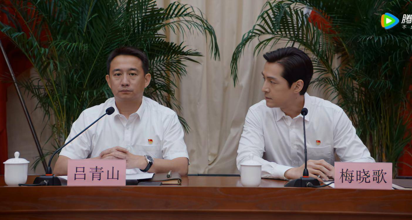 四集看罢,浅析《县委大院》中胡歌扮演的梅晓歌县长_工作_张隽溢_梅县