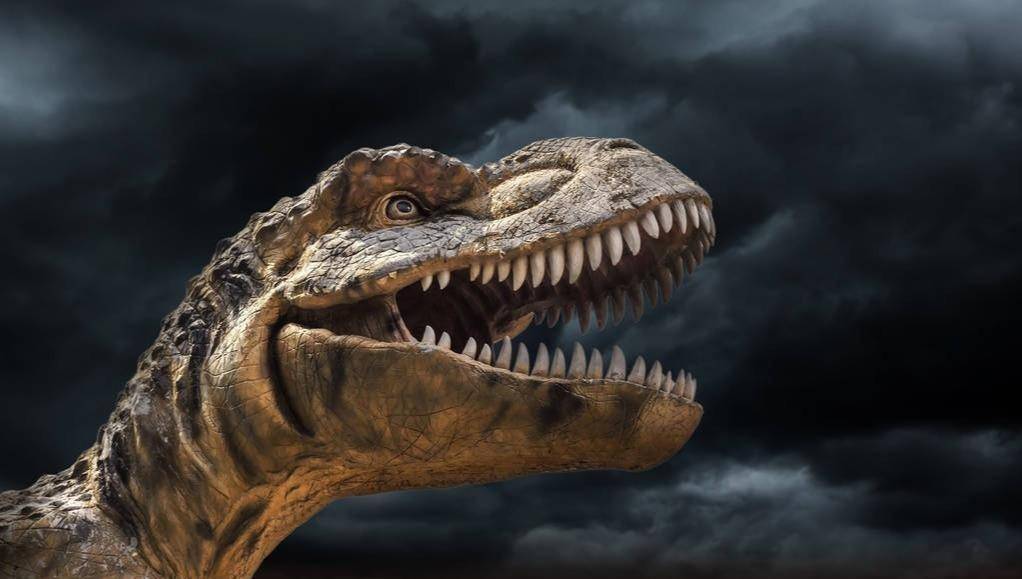 1824年人类命名第一只恐龙后,发现世界上最大的恐龙足迹就是它的_斑龙