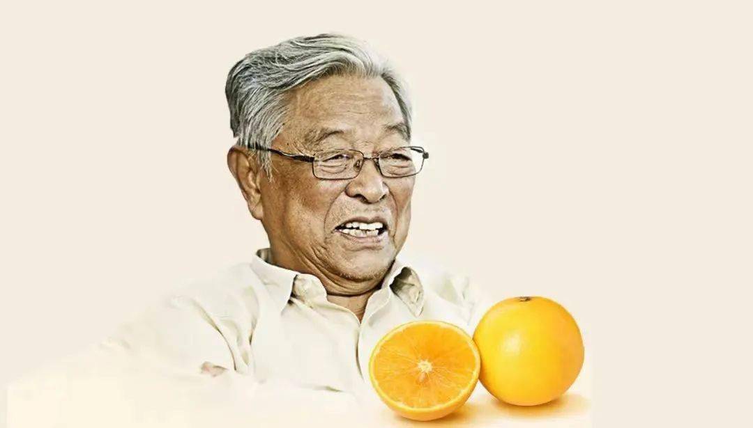 褚橙|一个会讲故事的橙子_品牌_叔叔_人生