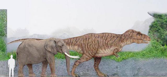 《侏罗纪世界2》霸王龙手短的好处,可以挠痒痒,网友:棘龙不服_暴龙