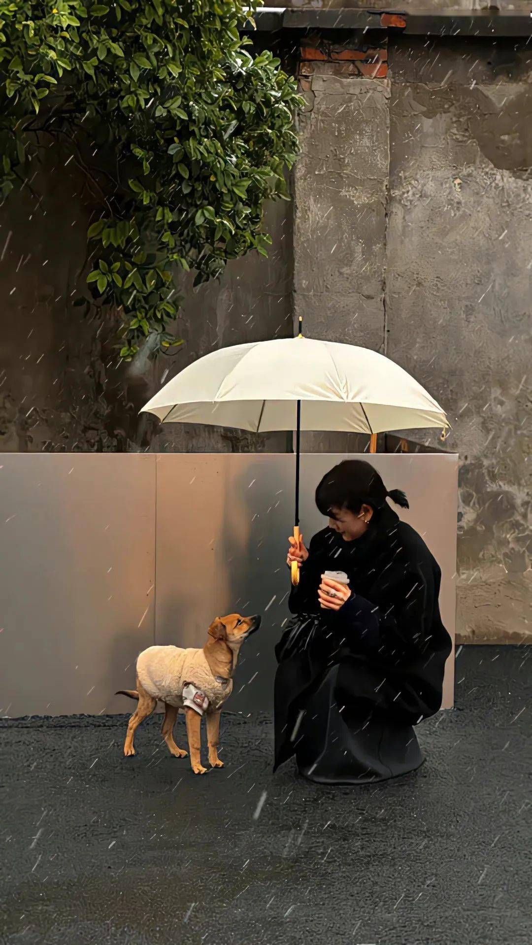 壁纸丨ins风极简手机壁纸