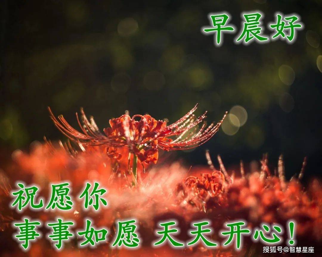 12月12日最美早上好问候图片,早安心语温馨句子正能量_人生_生活会