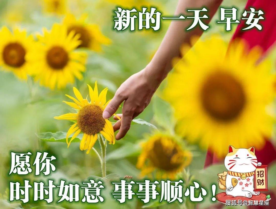 12月12日最美早上好问候图片,早安心语温馨句子正能量