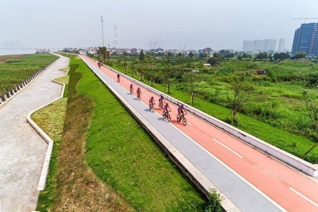 温州绿道系列(五)—— 七都岛环岛绿道_运动_驿站_特色