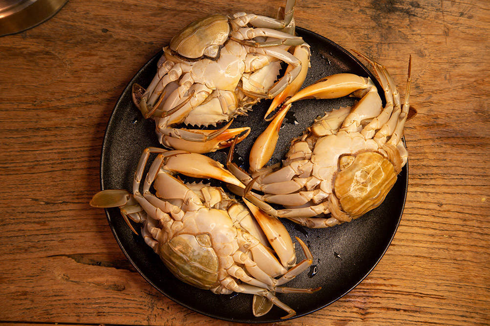 海寻湾三门膏蟹——让人陶醉的一口鲜美!_食用_螃蟹_阳澄湖