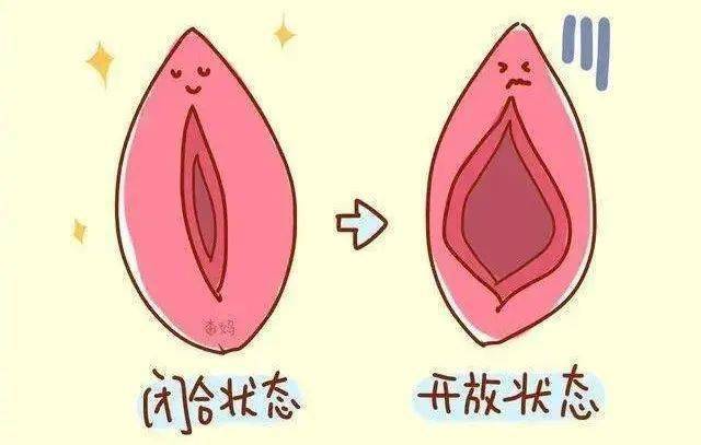 小y唇整形 | "秘密花园"不够美?真的很庆幸遇到了ta~_手术_边缘_女性