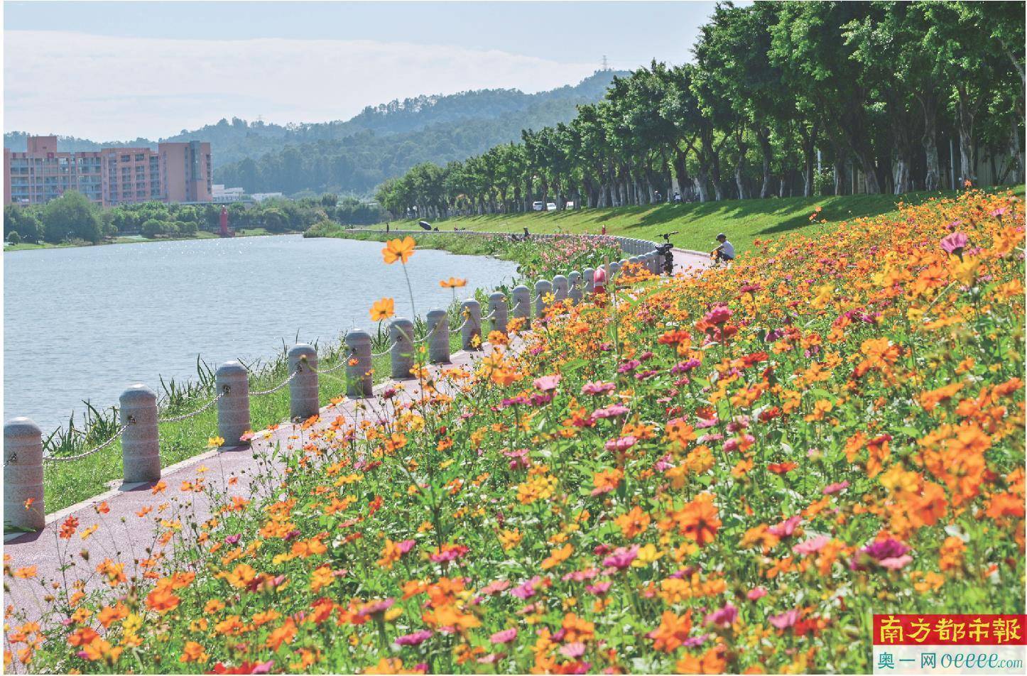 三年将增2600公里碧道 基本消除重污染天气