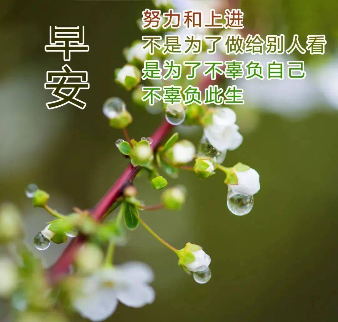 溫馨早安問候短句,問候送吉祥,幸福又安康_祝福_朋友_夢想