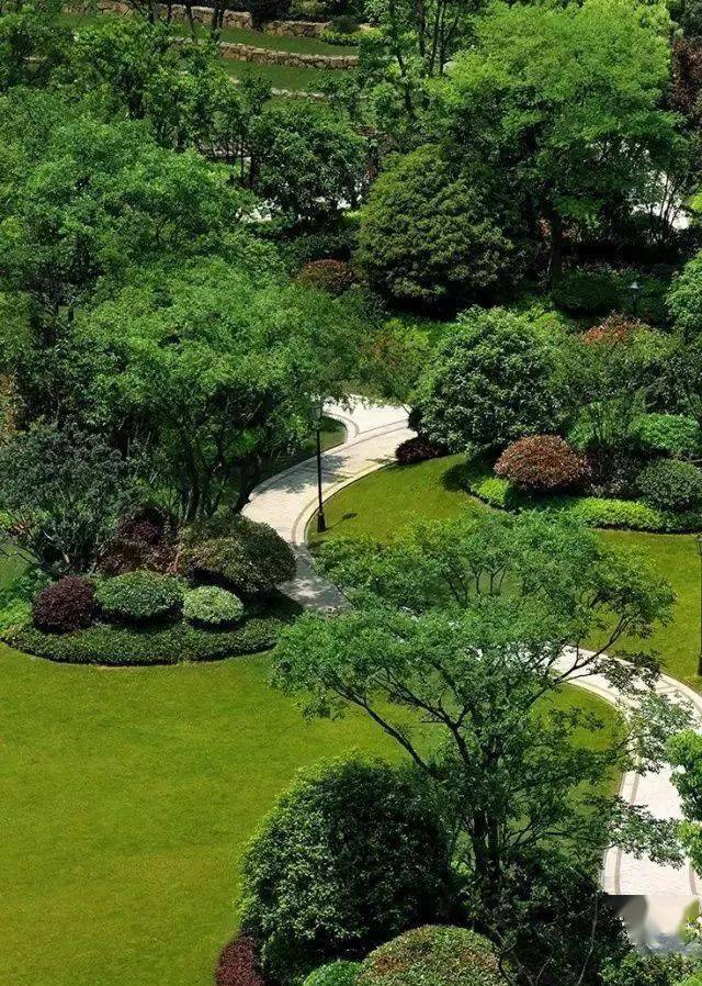 图文解析 | 景观植物设计的配置方法_树种_园林_树丛