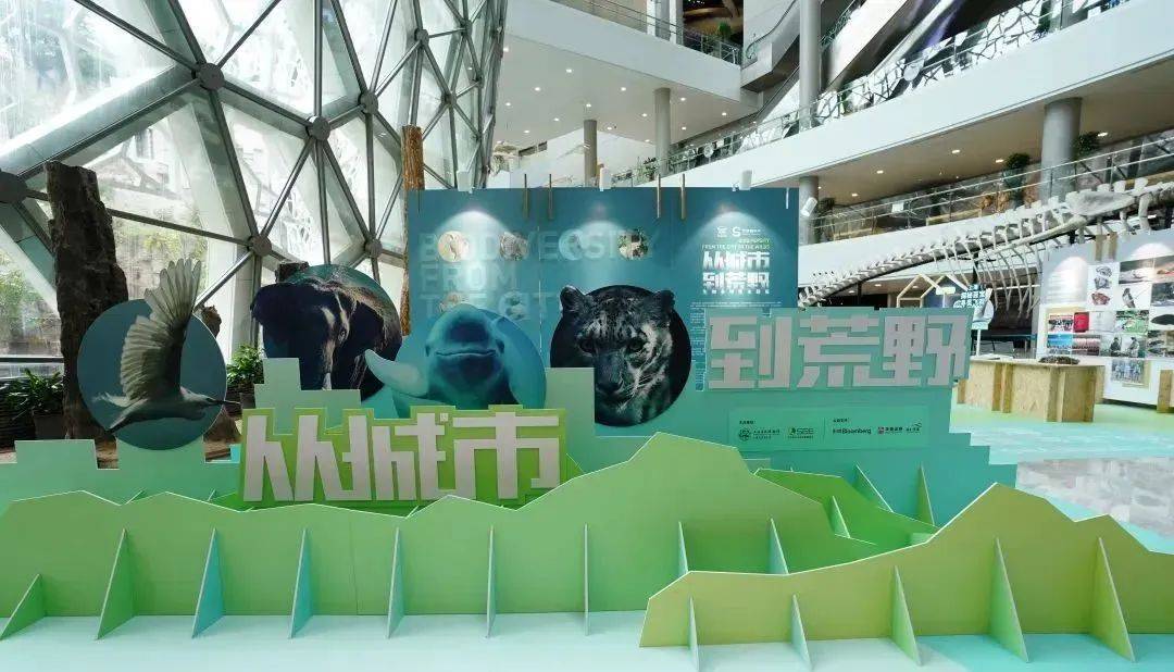展览丨从城市到荒野,在博物馆寻找人与自然的连接_生物_多样性_上海