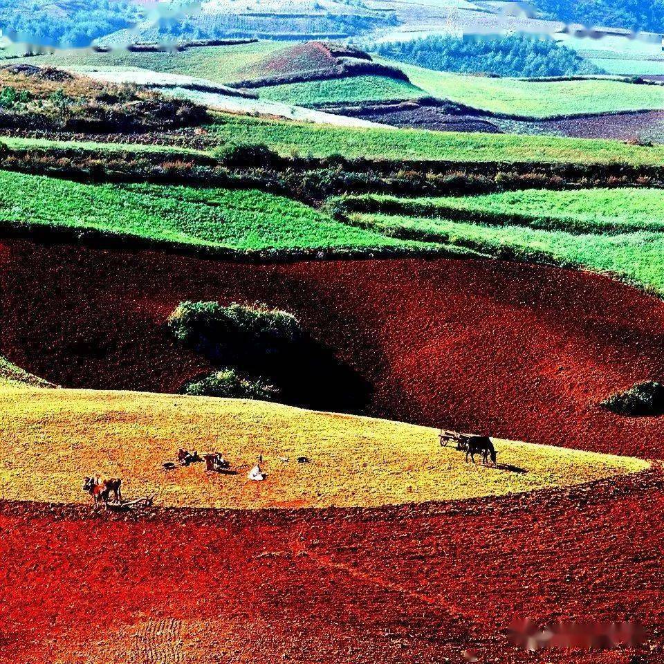 东川红土地,神笔绘锦绣