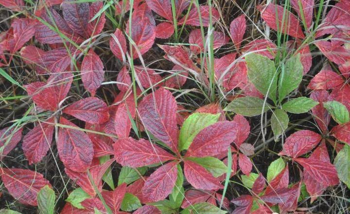 遂川热水洲,河滩上的野温泉您泡过没有_生活_天气_健身