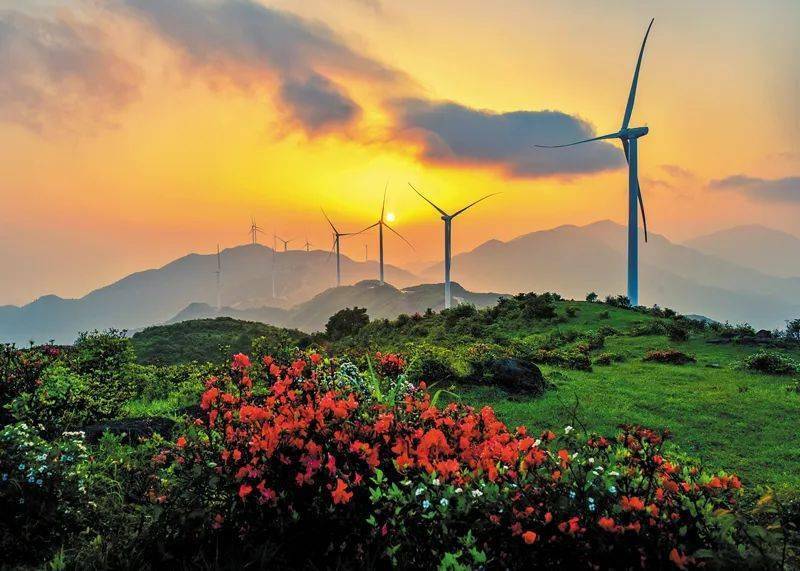 晒荷进行曲 胡冬云 摄风景线 黄耕文 摄俯瞰莲花节夜市 刘则亮 摄光伏