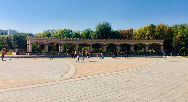 天津大港公园,孩子能玩一天,大人能坐一天的家门口的森林公园_摄影