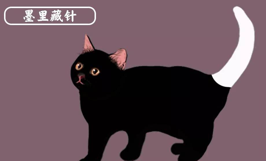 中华名猫大全-墨里藏针墨玉垂珠-古代名猫花名册_尾巴_白色_因为