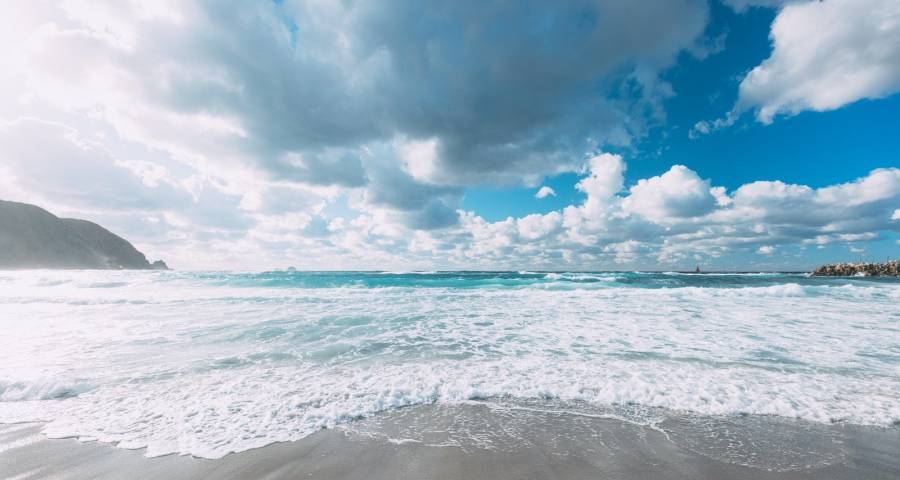 双12家电市场没“凉凉”是厂商变心了-家电圈官网