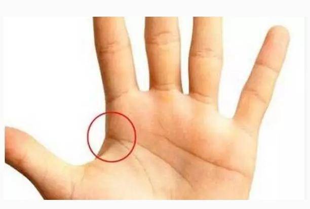 不仅财粗还能权大,还会一生财运滚滚来_事业_手相_井字纹