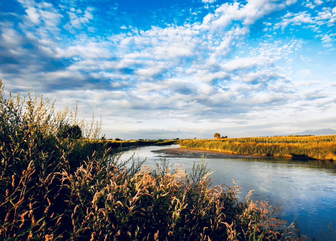 太阳从桑干河升起_女人_河流_人家