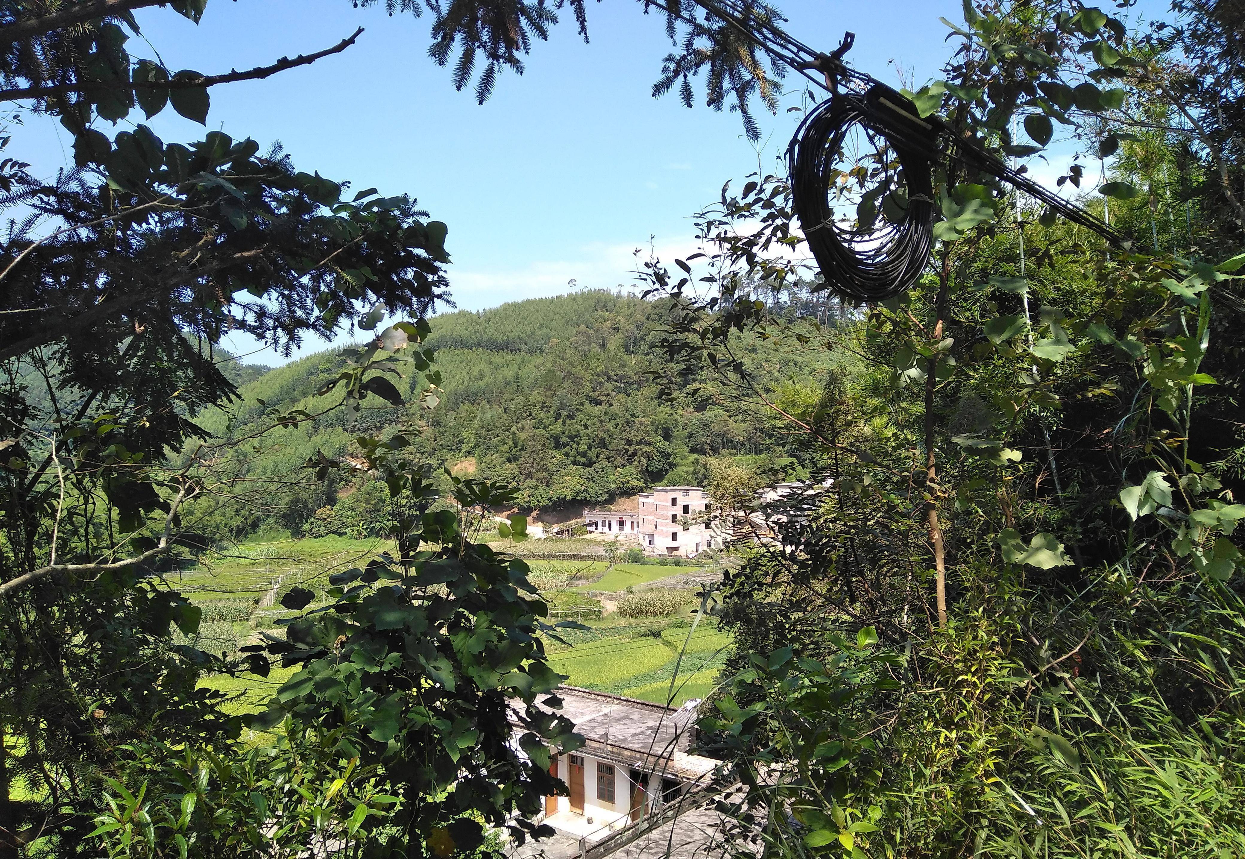 广西玉林这个小山村,北流圭江支流从村中经过,其实景色真不错_盆景