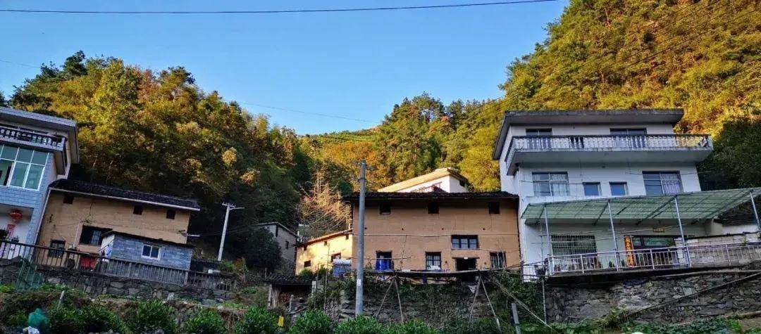 徽州竦岭古道:胡适就是从这里走出大山的_上庄镇_村庄_歙县