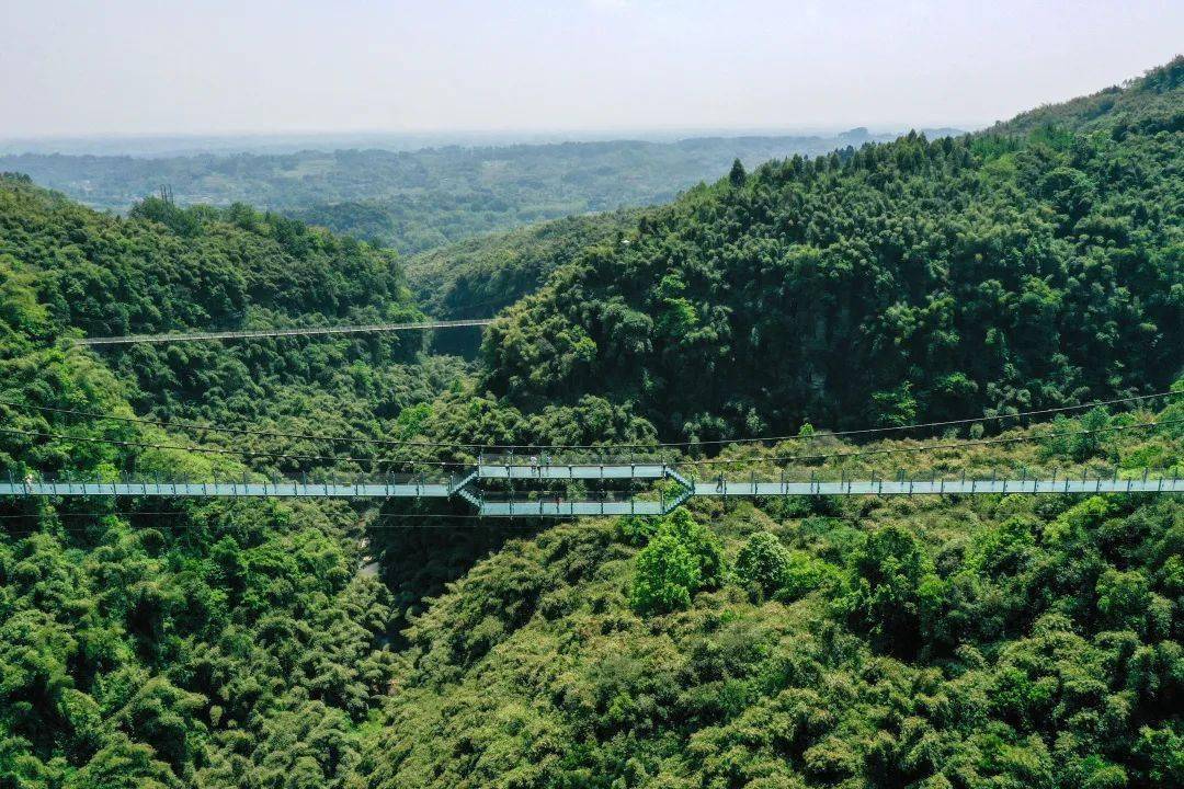 对标a级景区建设标准,成功将川西竹海打造为成都唯一竹主题aaa级景区