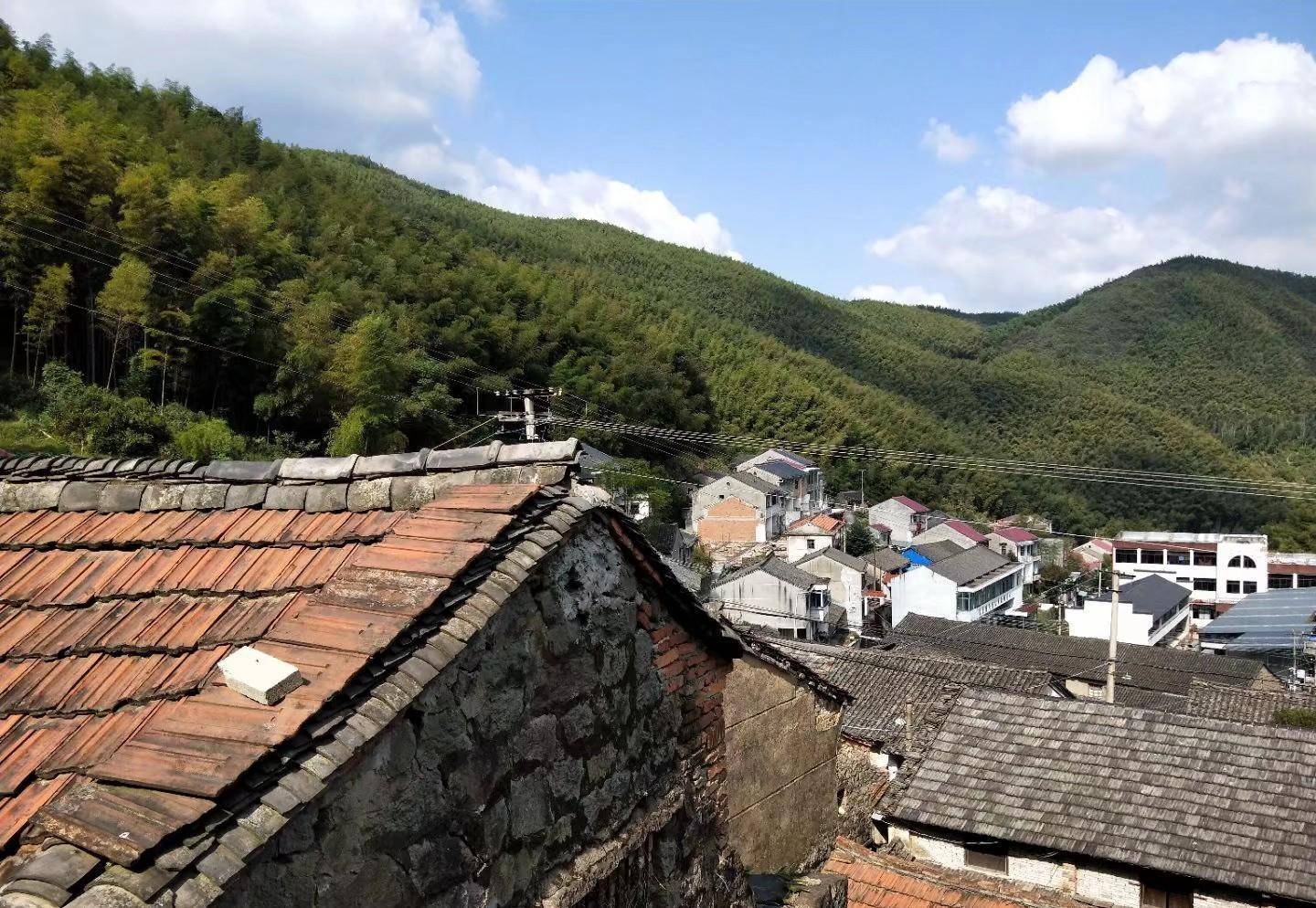 宁波横街镇乌岩村,群山环绕,竹林相依,风景秀丽_生活_村子_山村