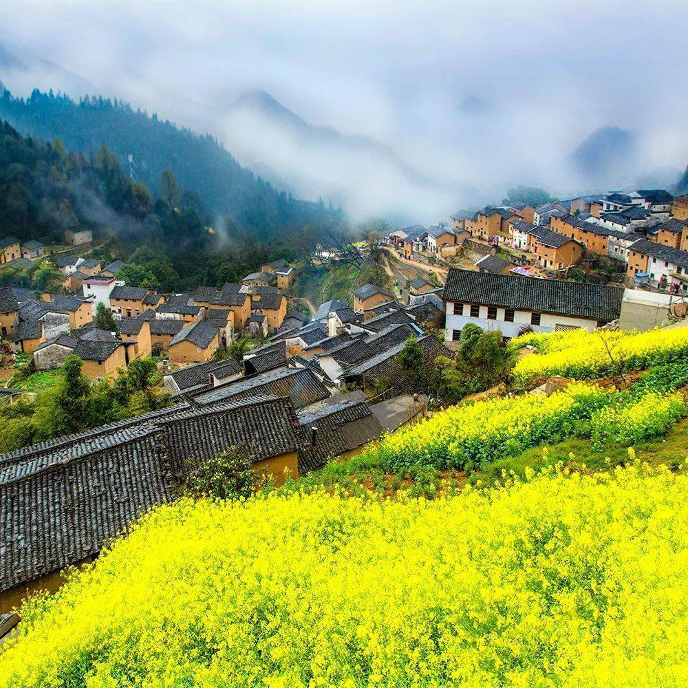 早起前往【月亮湾】拍摄星江河日出晨雾,古民居,田园风光,竹筏,渔夫