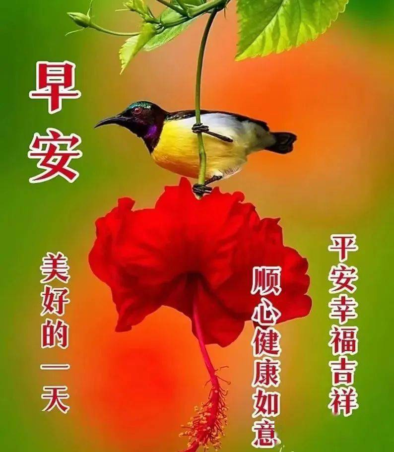 早上好,2022唯美早安问候祝福图片文字精选