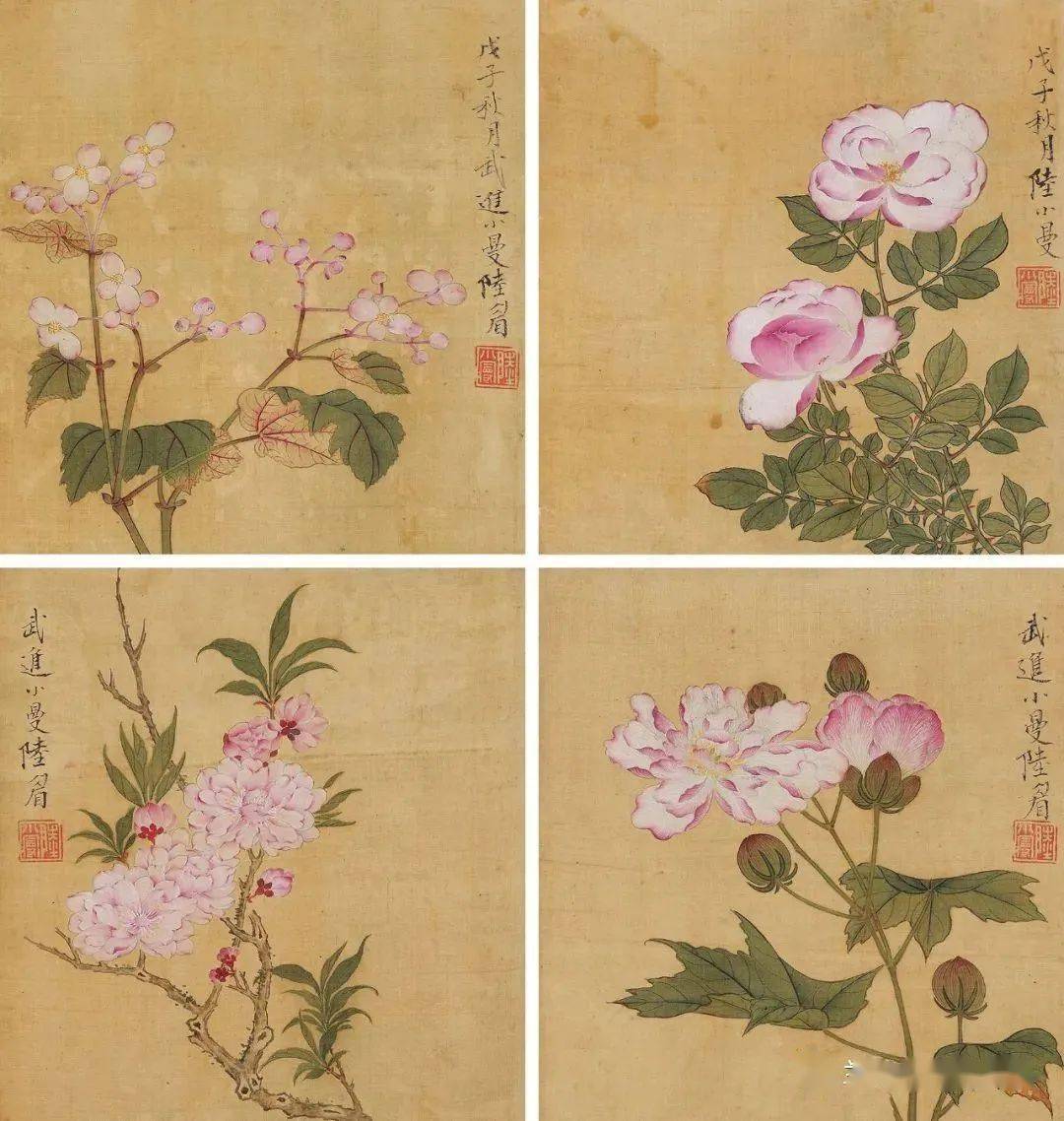 陸小曼 書畫 花卉圖 陆小曼的花卉，意料之外的惊艳！