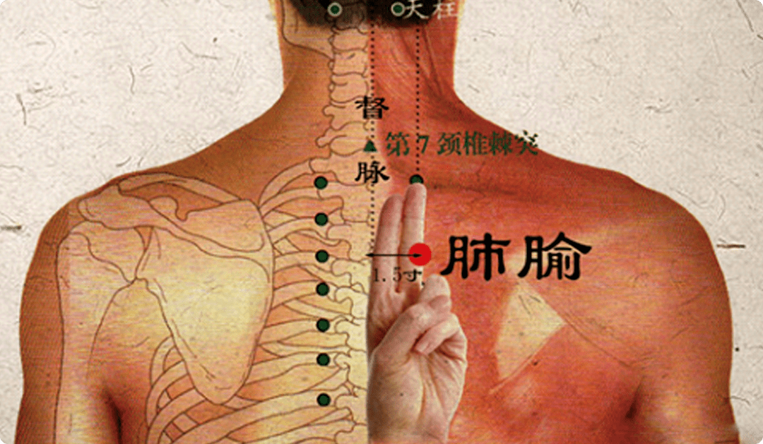 建议中老年人:常按这3个养肺穴,有效改善咳嗽,发热,咽痛.