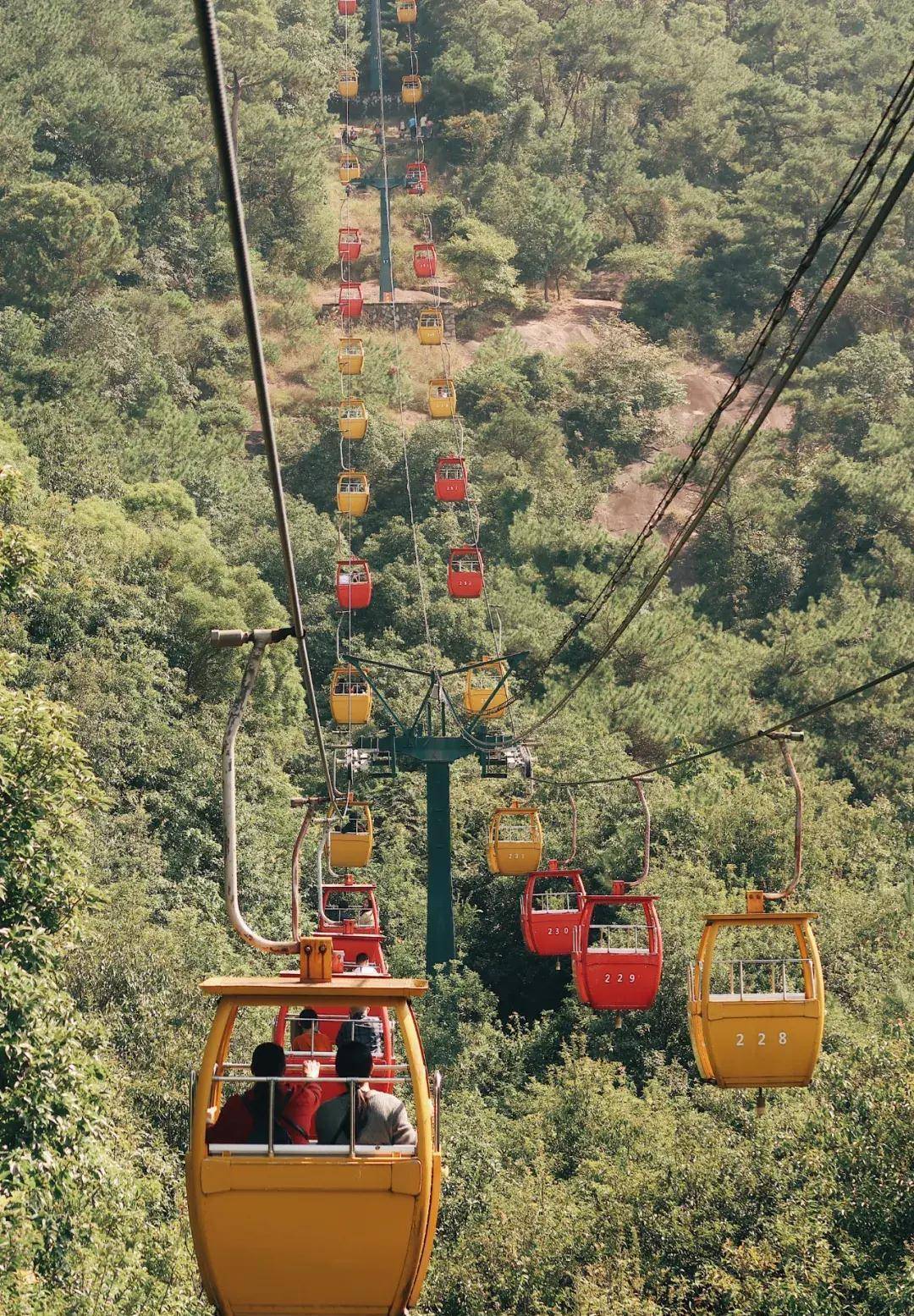 坐上开往秋天的索道,看鼓山林海眼前来 - 暴走福州