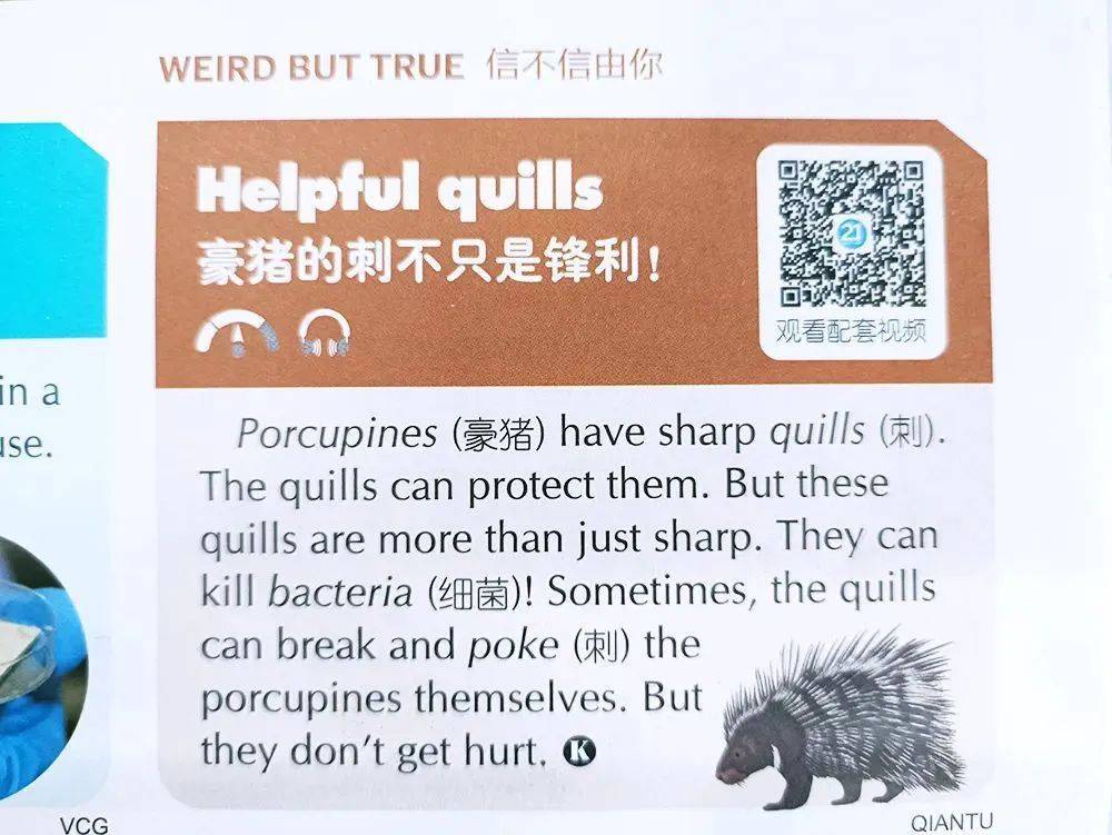我今年要学哪些新知识英文_今年新出的英语_学新知识英语