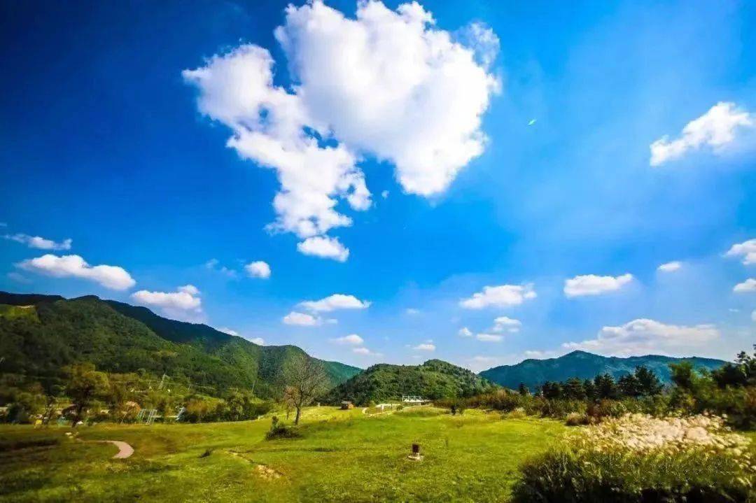 这才是照金的正确打开方式!_旅游_铜川_田园