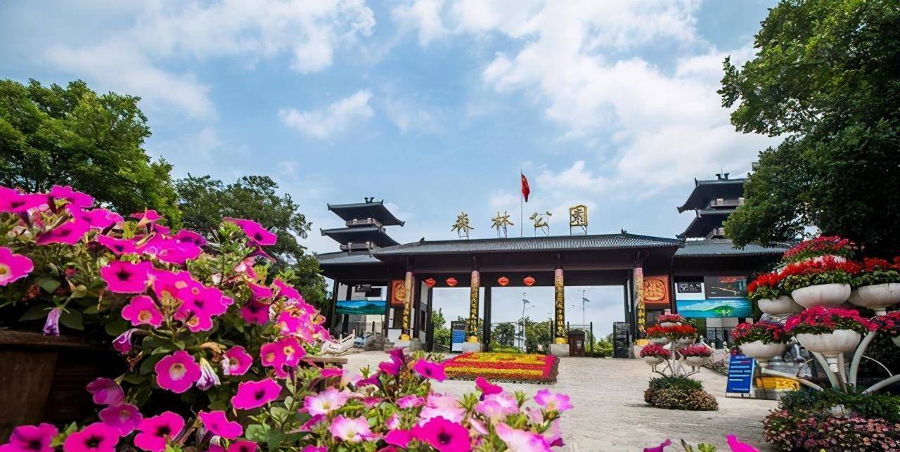 占地赔偿树木标准