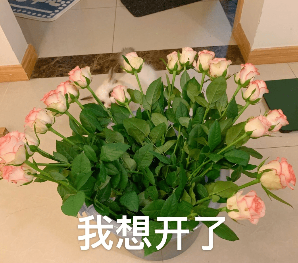 事关租房和买房！天津这项政策调整！下周起实施！_公积金_住房_贷款