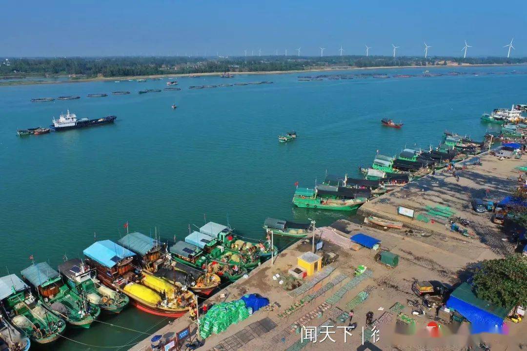 徐闻外罗渔港迎丰收 "鱼来鱼往"交易忙_码头_渔船_渔获