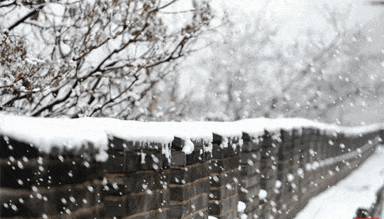 且晴且珍惜,雨雪已经在路上......_陕北_陕南_关中