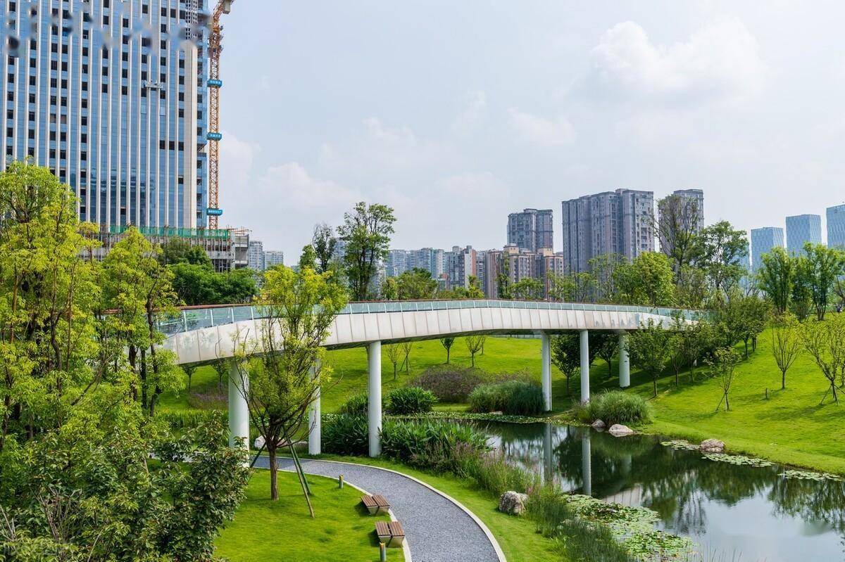 华北地区河溪植被缓冲带建设技术及植被配置