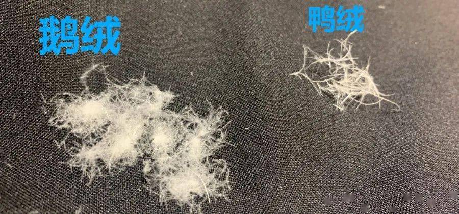 一百多拿下白鹅绒羽绒裤,冬天暖和还显瘦!_裤子_面料_部分