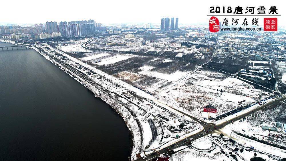 愿昨日唐河的那场雪，掩埋疫情所有的陈迹......