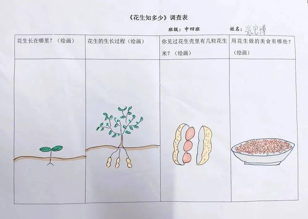 种子食物调查表图片